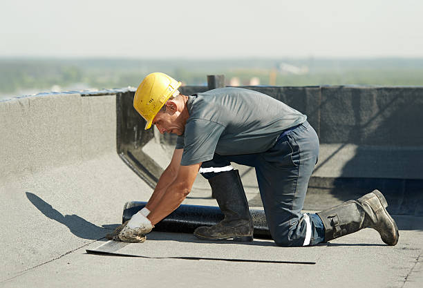 Best Specialized Insulation Services in Alliance, NE