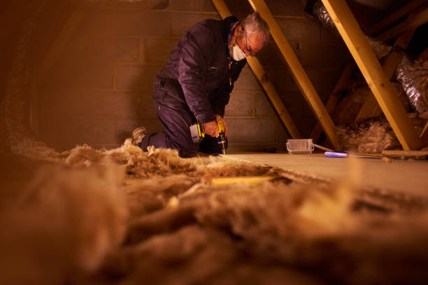 Best Geographic-Specific Insulation Services in Alliance, NE